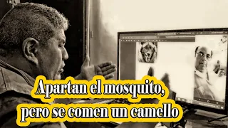 Apartan el mosquito, pero se comen un camello