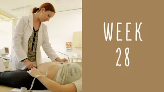 28 Weeks Pregnant - Pregnancy Week by Week