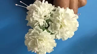Gumpaste( flower paste) carnations
