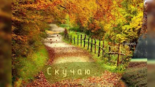 скучает осень 🍁