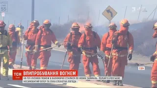 20 нових займань лише за добу: лісові пожежі у Каліфорнії набирають шалених обертів