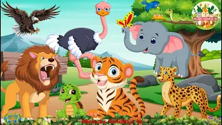 Animal Videos: Cheetah, Ostrich, Tiger, Elephant, Eagle, Lion - Cute Little Animals