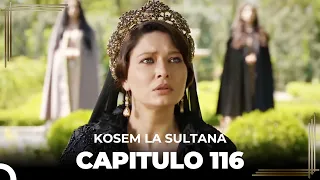 Kosem La Sultana | Capítulo 116 (HD)