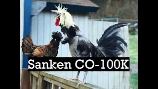 Elastic Audio Test with Bird Vocalizations Recorded with a Sanken CO-100K