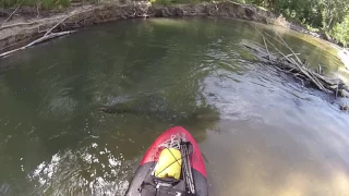 ISUP Paddle Boarding on the Niangua River Missouri