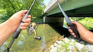 Fishing the CREEK! Eating Whatever I Catch (Catch and Cook)