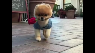 JiffPom "Treat You Better" Valentines Day Video💕