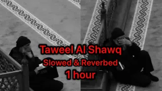 Taweel Al Shawq | 1 hour straight | slowed + reverb | muhammad Al Muqit | طویل اشوق | #nasheed