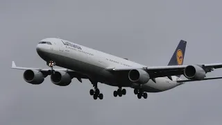 LUFTHANSA AIRBUS A340-600 Landing At Frankfurt Airport