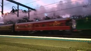 3526 & 3801 and a Waratah pass Summer Hill