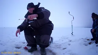 Ловим плотву и окуня в Финском заливе. Зимняя рыбалка в Зеленогорске.