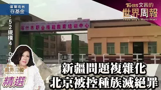 新疆問題複雜化 北京被控種族滅絕罪名 TVBS文茜的世界周報-歐洲版 20220205 X 富蘭克林‧國民的基金