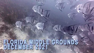 Spearfishing the Florida Middle Grounds in December 2021