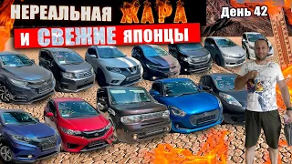 Что заказывают с аукционов Японии сегодня - популярные авто с правым рулем!