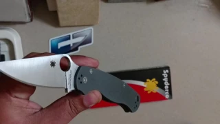 Thoughts on Spyderco Cruwear PM2