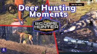 Deer Hunting Gameplay Cabelas Big Game Hunter Pro Hunts