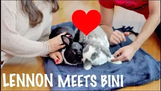 BINI THE BUNNY TEACHES LENNON TRICKS!