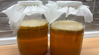 Kombucha příprava a druhy (Jun, Red Rumi, Černý čaj)