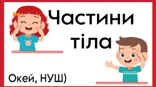 Частини тіла/ загадки/ гра/ руханка/ Окей, НУШ)- тут цікаво і корисно)