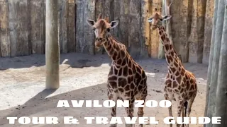 Avilon Zoo 2024 | Tour | Travel Guide | Montalban Rodriguez Rizal