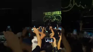 The Buzz Lovers (Smells like teen spirit) - Águeda 29-07-2022