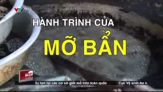 NKVTPB 06/04/2016 | “Rùng Mình” Mỡ Trộn Phân, Hóa Chất... Lên Bàn Ăn | VTV24