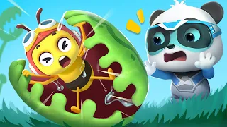 Rescue Honeybee Mission +More | Super Rescue Team Collection | Best Cartoon Collection