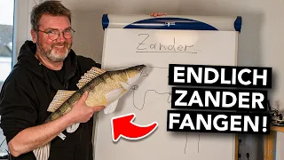 Zander-Tipps vom Profi! 🐟 Spots, Drill, Verhalten, Ausrüstung (+ Geheimtipps)