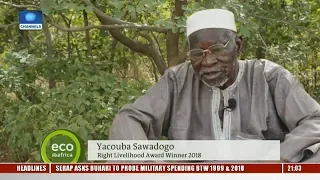 80-Year-Old Man Grows Forest Using Natural Methods | Eco@Africa |