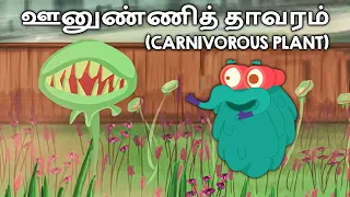 ஊனுண்ணித் தாவரம் | Carnivorous Plants | Dr. Binocs Tamil | Educational Videos For Kids