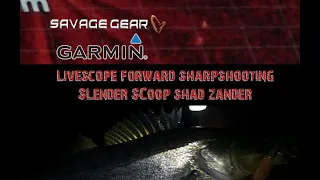 Garmin Livescope FORWARD Sharpshooting Zander