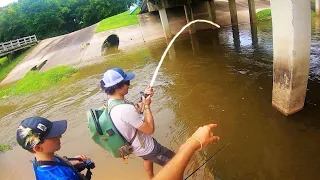 MONSTER CATFISH from a FLOODED CITY CREEK!!!