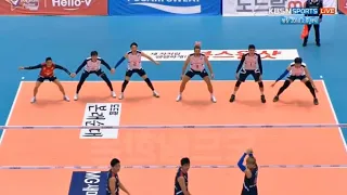 The Most Beautiful Volleyball Actions (HD)