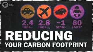 The Best Ways to Reduce Your Carbon Footprint | Hot Mess 🌎