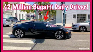 CARSPOTTING MADNESS! Bugatti Veyron, Ferrari F40, C8 Corvette Casually Driving in Beverly Hills