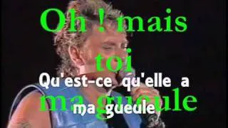 Johnny Hallyday Ma Gueule ( Concert Au Parc Des Princes 1993 )