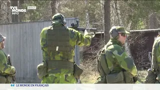 Île de Gotland : le joyau stratégique suédois