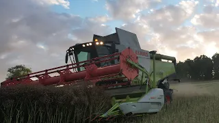 OSR Harvest 2022 Claas lexion 750