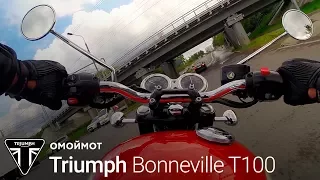 Мотоцикл Triumph Bonneville T100 | тест-драйв Омоймот