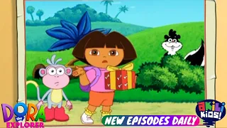 Dora The Explorer | Swiper's New Trick | Akili Kids!