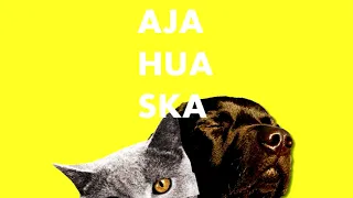 LATEXFAUNA Ajahuaska / Ajahuaska / audio & lyrics
