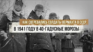 Как согревались солдаты Вермахта в 40-градусный мороз?