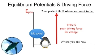 Equilibrium Potentials and Driving Force