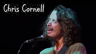 Chris Cornell And Soundgarden Complete Final Performance Detroit