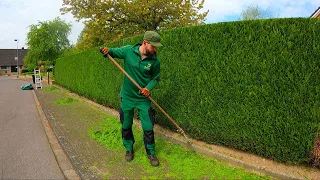 The ROBOTIC Mower DROVE INTO My Camera While I Trimming a Thuja Hedge