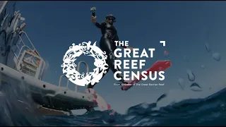 Great Reef Census In-Water Update