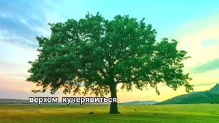 Грушечка - ILONKO (кавер+караоке)