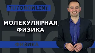 Физика | Молекулярная физика