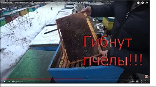 ПЕРВЫЕ ПОТЕРИ ПЧЕЛОСЕМЕЙ, ОШИБКИ ПЧЕЛОВОДА ПРИ ЗИМОВКЕ ПЧЁЛ, Я В ШОКЕ!!!