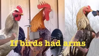 If birds had arms